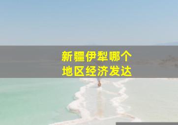 新疆伊犁哪个地区经济发达