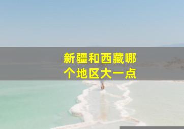 新疆和西藏哪个地区大一点