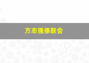 方志强傣联会