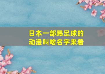 日本一部踢足球的动漫叫啥名字来着