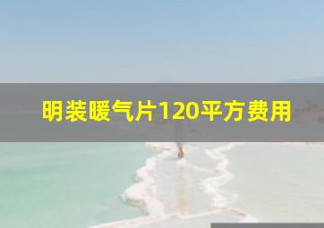 明装暖气片120平方费用