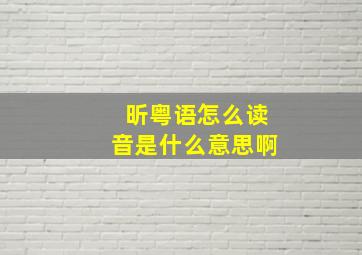 昕粤语怎么读音是什么意思啊