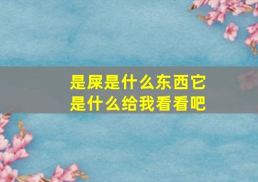 是屎是什么东西它是什么给我看看吧