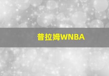 普拉姆WNBA