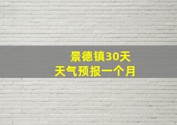 景德镇30天天气预报一个月