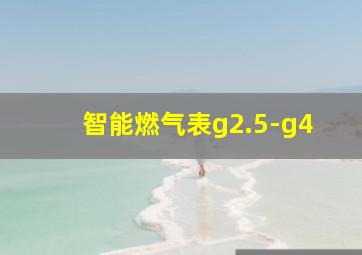 智能燃气表g2.5-g4