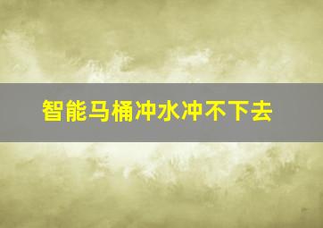 智能马桶冲水冲不下去