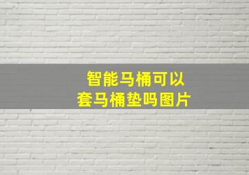 智能马桶可以套马桶垫吗图片