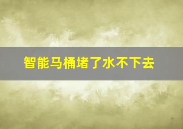 智能马桶堵了水不下去