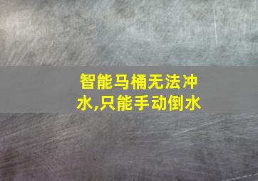 智能马桶无法冲水,只能手动倒水