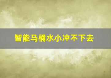 智能马桶水小冲不下去