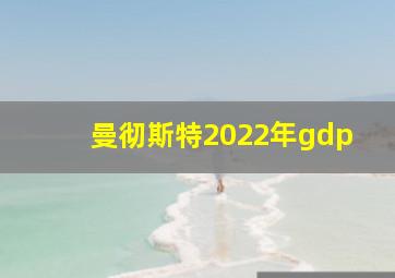 曼彻斯特2022年gdp