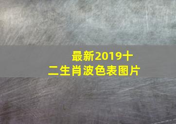 最新2019十二生肖波色表图片