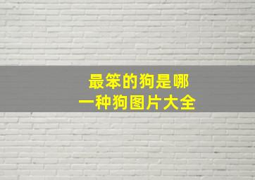 最笨的狗是哪一种狗图片大全