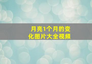 月亮1个月的变化图片大全视频