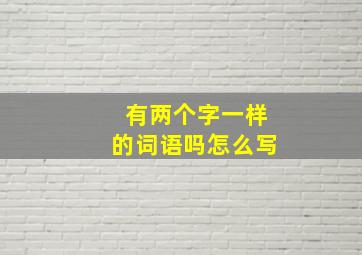 有两个字一样的词语吗怎么写