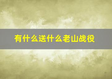 有什么送什么老山战役