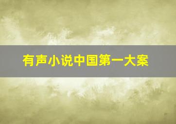 有声小说中国第一大案