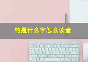 杓是什么字怎么读音