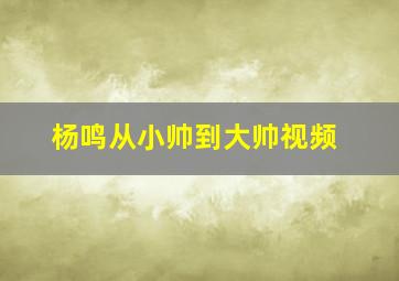 杨鸣从小帅到大帅视频