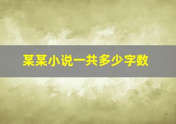 某某小说一共多少字数