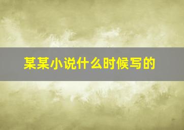 某某小说什么时候写的