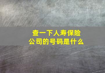 查一下人寿保险公司的号码是什么