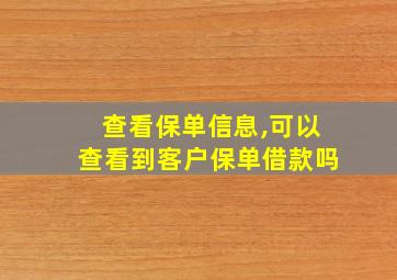 查看保单信息,可以查看到客户保单借款吗