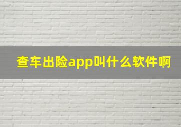 查车出险app叫什么软件啊