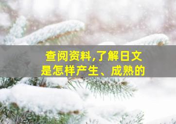 查阅资料,了解日文是怎样产生、成熟的