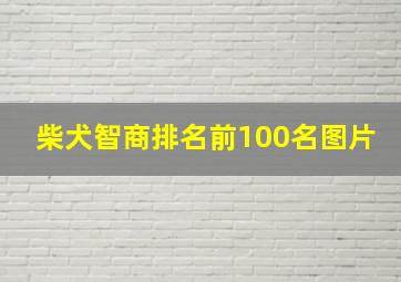 柴犬智商排名前100名图片