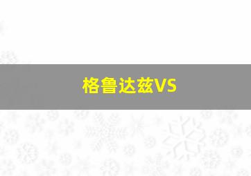 格鲁达兹VS