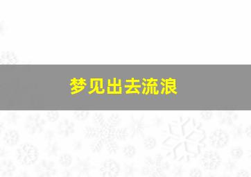 梦见出去流浪