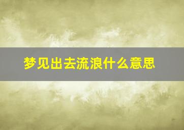 梦见出去流浪什么意思