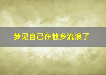 梦见自己在他乡流浪了