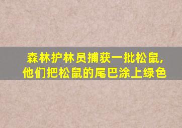 森林护林员捕获一批松鼠,他们把松鼠的尾巴涂上绿色