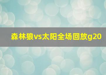 森林狼vs太阳全场回放g20