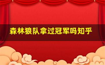 森林狼队拿过冠军吗知乎