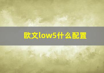 欧文low5什么配置