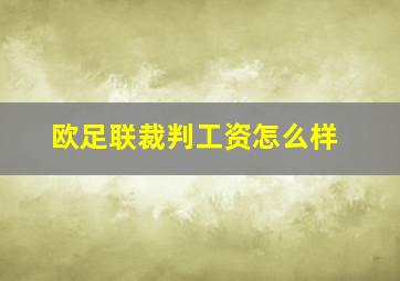 欧足联裁判工资怎么样