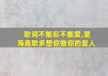 歌词不能忘不能爱,望海高歌多想你做你的爱人