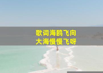 歌词海鸥飞向大海慢慢飞呀