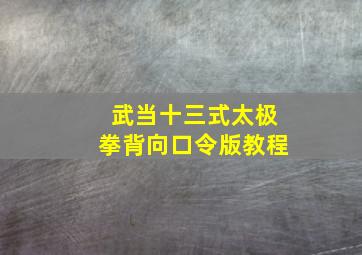 武当十三式太极拳背向口令版教程