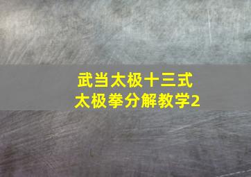 武当太极十三式太极拳分解教学2