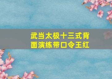 武当太极十三式背面演练带口令王红