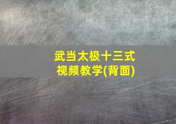 武当太极十三式视频教学(背面)