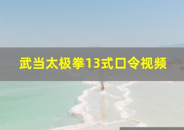 武当太极拳13式口令视频