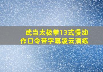 武当太极拳13式慢动作口令带字幕凌云演练