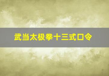 武当太极拳十三式口令