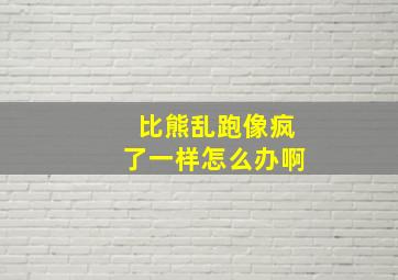 比熊乱跑像疯了一样怎么办啊